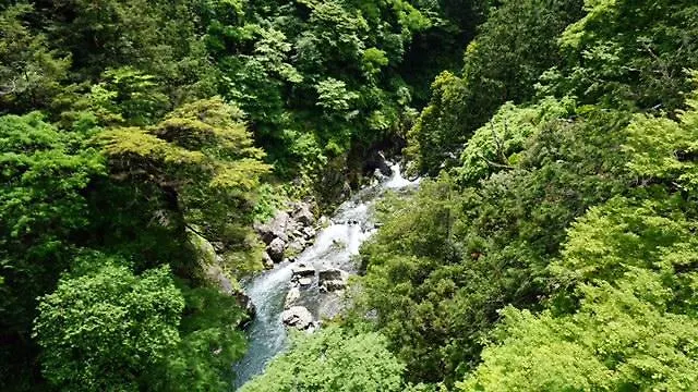 Villa Minshuku Unzenya à Tōkyō 0*,